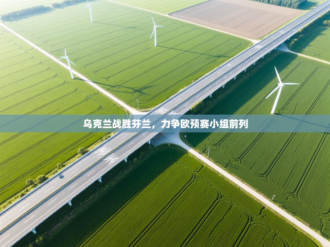 乌克兰战胜芬兰，力争欧预赛小组前列