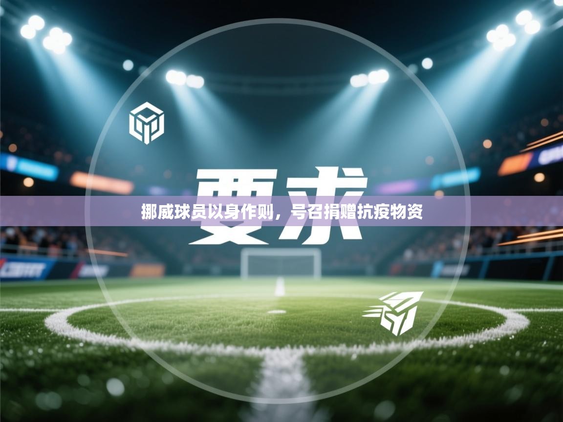 挪威球员以身作则,号召捐赠抗疫物资 第1张