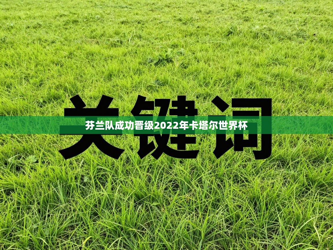 芬兰队成功晋级2022年卡塔尔世界杯  第1张