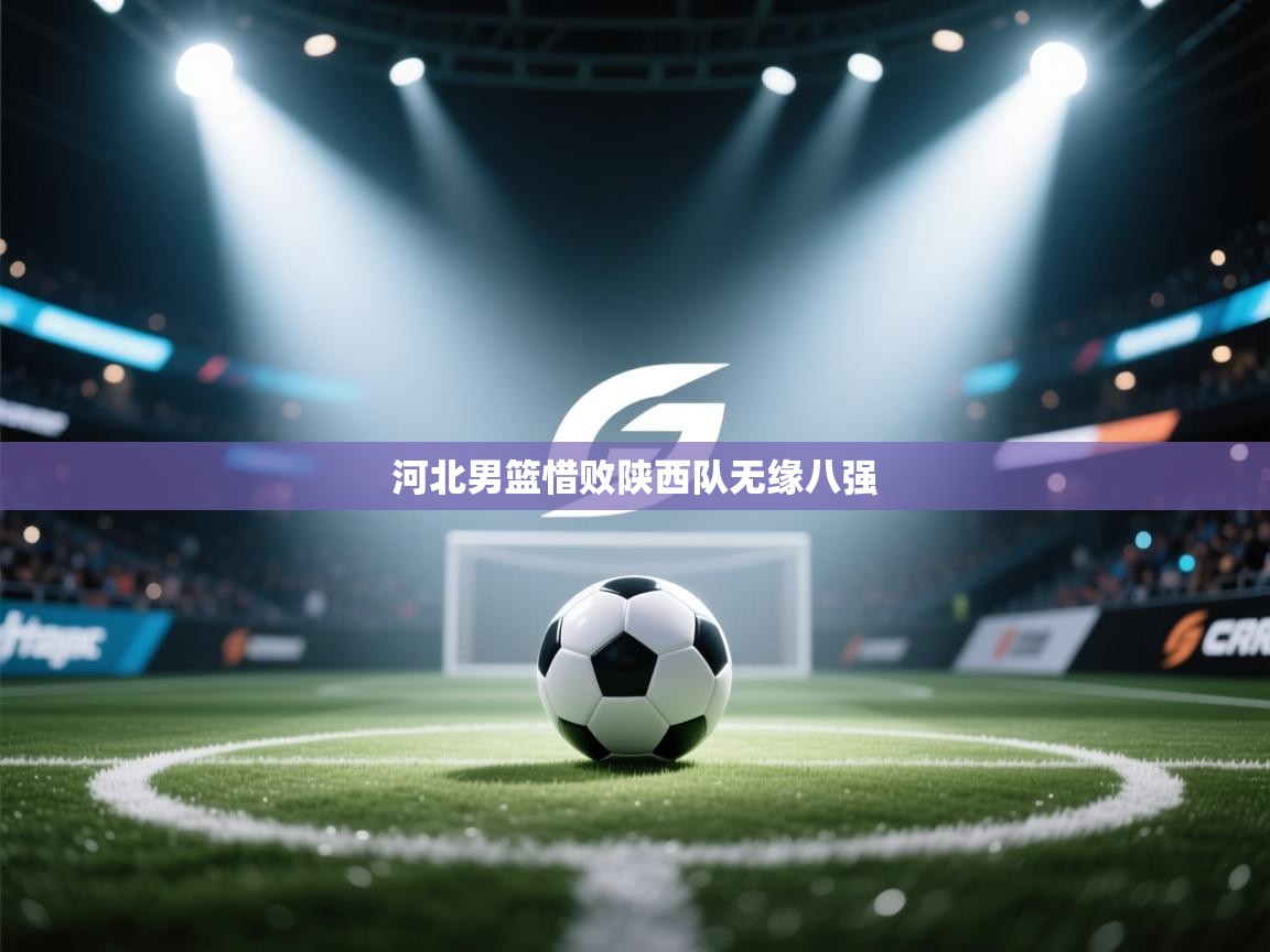 河北男篮惜败陕西队无缘八强 第1张