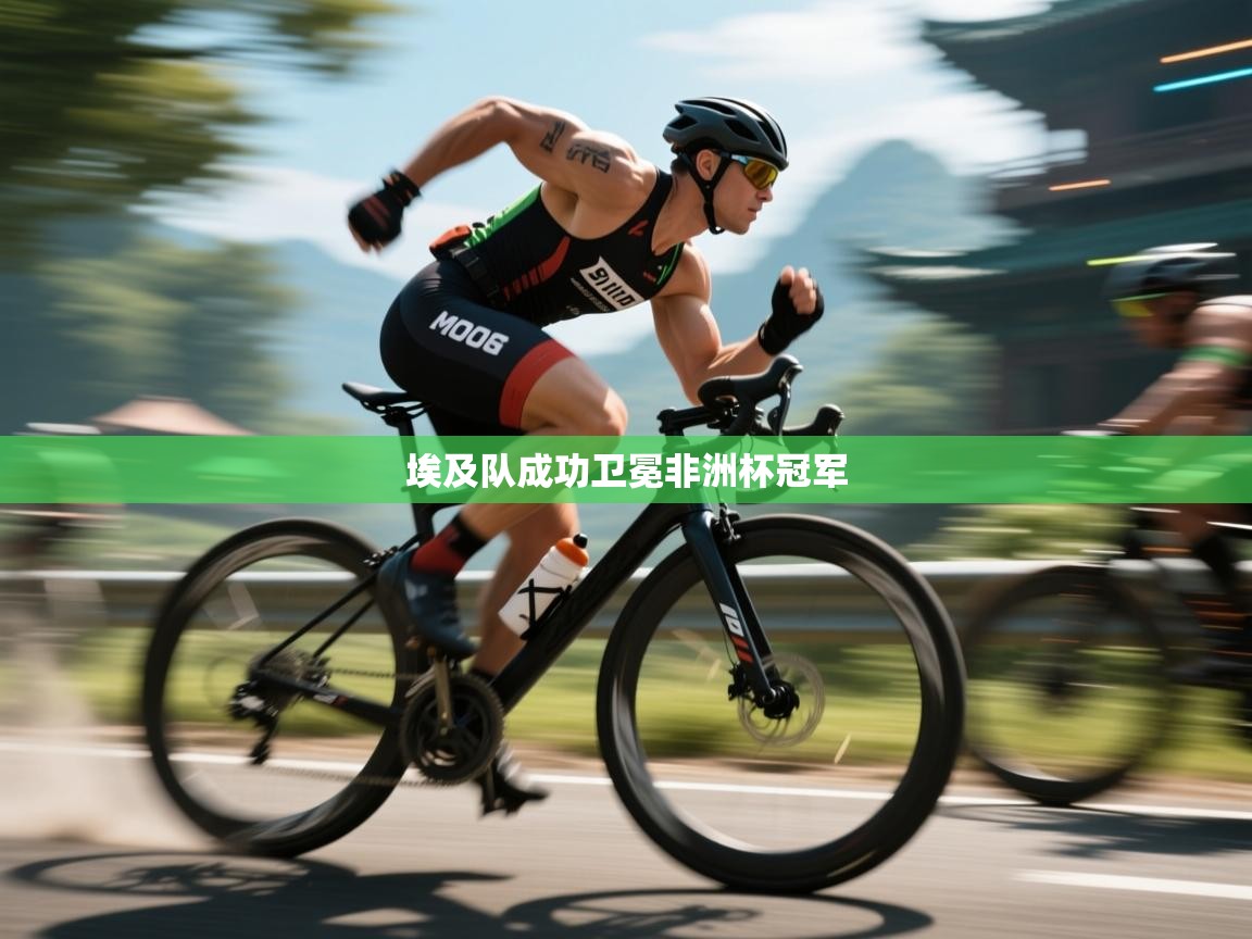 埃及队成功卫冕非洲杯冠军