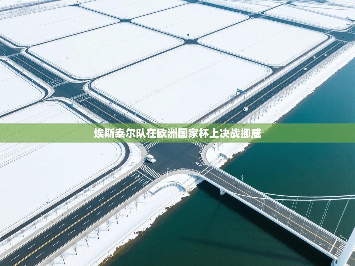 埃斯泰尔队在欧洲国家杯上决战挪威  第2张