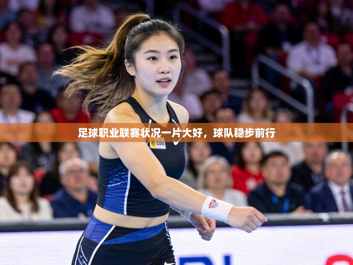 足球职业联赛状况一片大好，球队稳步前行  第2张